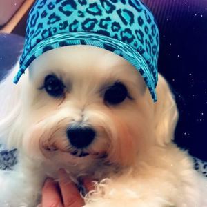 Meet your Posher, Maureen